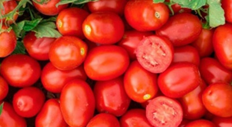 Salçalık domatese yüzde 100'ün üzerinde zam geldi