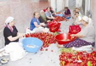 Salçalık telaşı başladı