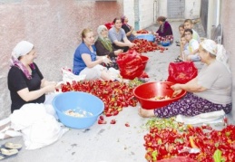 Salçalık telaşı başladı