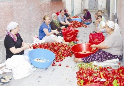 Salçalık telaşı başladı