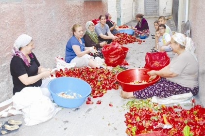 Salçalık telaşı başladı