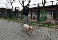 Saldırgan pitbull cinsi köpek barınağa teslim edildi