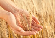 Salgın, tarımın ne kadar önemli ve vazgeçilemez bir sektör olduğunu gösterdi