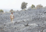 Şam, Suriye'deki orman yangınlarını çıkaran 24 kişiyi idam etti