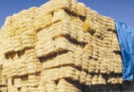 Saman krizi et fiyatlarına yansıyacak