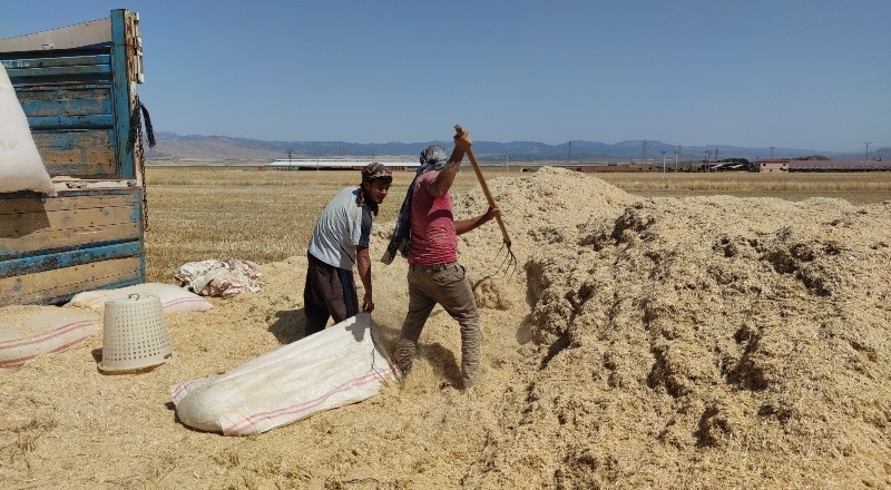 Saman satışı başladı
