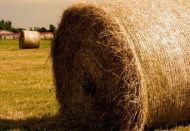 Saman, Türkiye'nin bitcoini oldu