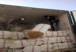 Saman yüklü tırdan 290 kilogram esrar çıktı 