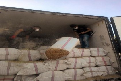 Saman yüklü tırdan 290 kilogram esrar çıktı 