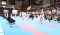 Şampiyonaya 45 ülkeden 510 sporcu katılıyor