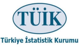Sanayi üretimi bir önceki yılın aynı ayına göre yüzde 10,4 arttı.