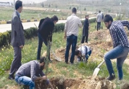 “Sanayide Bir Yeşil Ada” Projesi kapsamında fidan dikildi