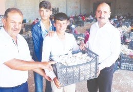 Sarımsak fiyatında spekülasyon yapılıyor