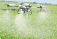 Sarımsak tarlalarına ilk kez dronla ilaçlama yapıldı