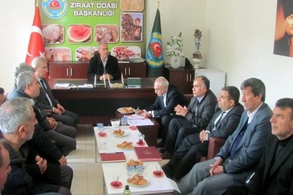 Sarımsak Üreticileri Birliği kuruldu