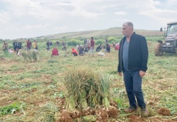 Sarımsak üretiminde merkez konumundayız