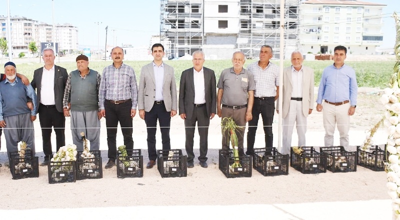 Sarımsak ve firik üreticileri altın için yarıştı