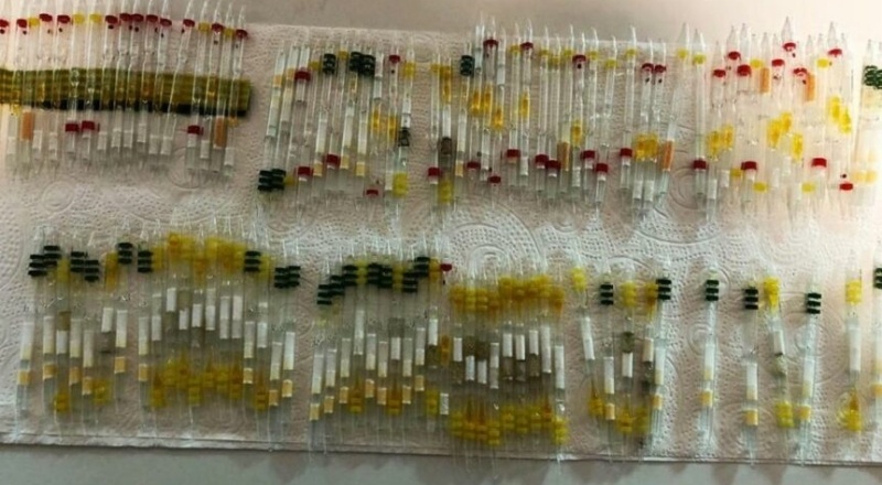 Sarp Sınır Kapısı'nda 230 tüp arı ve kobra yılanı zehri ele geçirildi