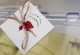 Seçim başlangıç tarihi 18 Mart