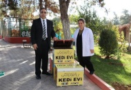 Seçim sandıkları evsiz kedilere yuva oldu