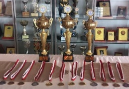 Seçkinli öğrenciler, üç kategoride derece aldı