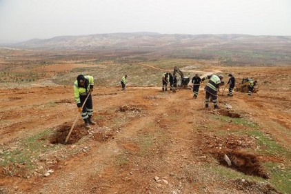 Şehitkamil&#8217;de 30 bin fidan daha dikilecek 