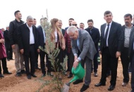 Şehitkamil'de 13 bin fidan toprakla buluştu 