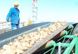 Şeker fabrikalarının araç kiralama masrafı iki katına çıktı