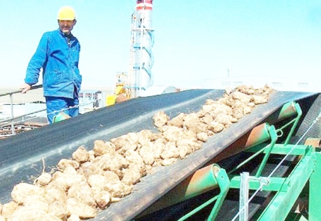 Şeker fabrikalarının araç kiralama masrafı iki katına çıktı