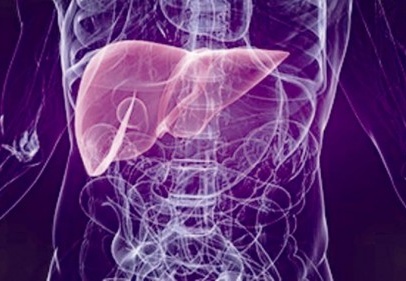 ''Şeker'' karaciğer yağlanmasına neden olmuyor