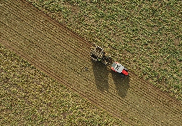 Şeker kotaları belli oldu