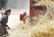 Şekerbank, köylüyü köyünde tutacak proje başlatıyor