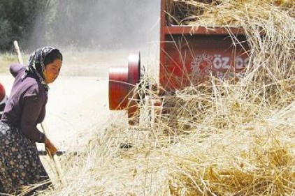Şekerbank, köylüyü köyünde tutacak proje başlatıyor