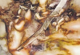 Şenol Tilki resim sergisi açılacak