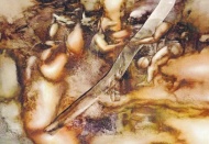 Şenol Tilki, sergi açacak