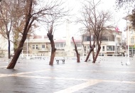 Sessiz cadde ve sokaklarda kuş cıvıltıları yankılandı