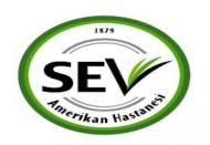 SEV Amerikan Hastanesi kentin dört bir yanında diyabet etkinliği düzenleyecek