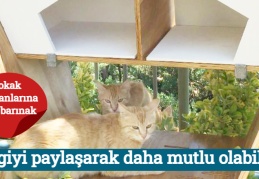 Sevgiyi paylaşarak daha mutlu olabiliriz