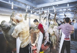 Seyyar kesimhanelere vatandaşlar yoğun ilgi gösterdi