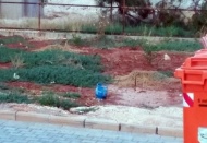SGK'nın bahçesine atılan piknik tüpü bomba paniğine neden oldu