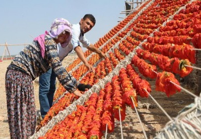 Sıcaklar kurutuyor