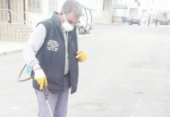 Sıcaklığın 10 derece ani artışı toprak piresini hortlattı