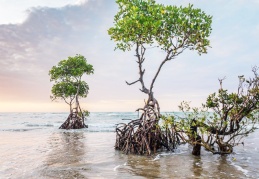 Sıcaklık artışı "tehlikeli" seviyelere ulaşabilir