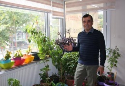 Şiddet, toplumda rahatça yaşanır hale geldi