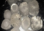 Şiddetli dolu yağışı Antep fıstığı üreticilerini korkuttu