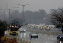Şiddetli sağanak etkili oldu