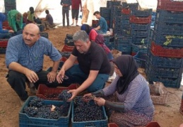 Şifa kaynağı kuru üzüm