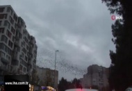 Sığırcıkların İstanbul semalarında görsel şöleni