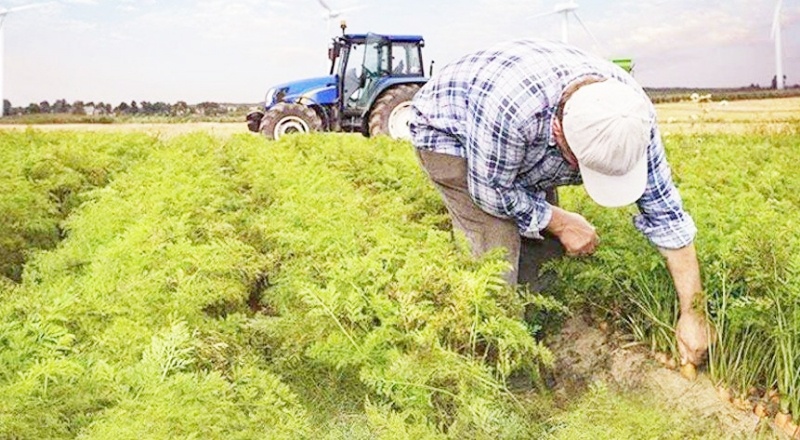Sigortalı çiftçi sayısı 41 bin 881 kişiye düştü