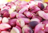 Siirt'te de fıstık üretimi yüzde 50 düştü